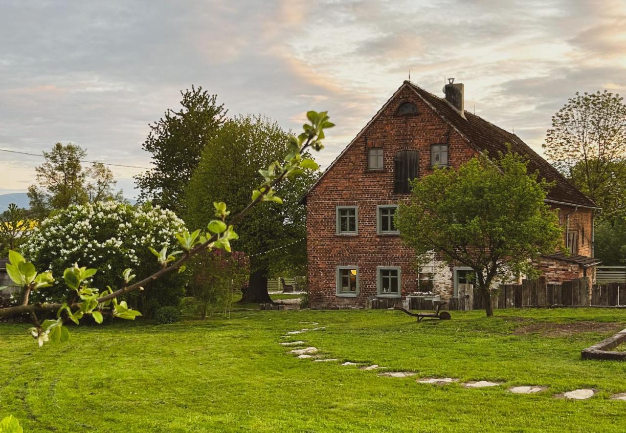 Bed and Breakfast Dom Na Krzewiu à Gryfów Śląski Extérieur photo