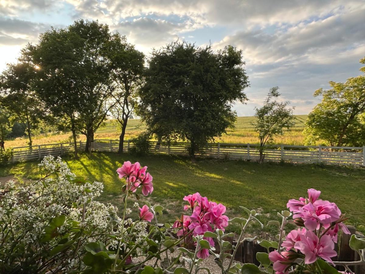 Bed and Breakfast Dom Na Krzewiu à Gryfów Śląski Extérieur photo